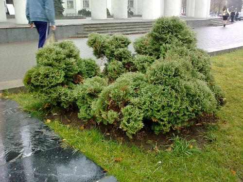 ����� Nokia 5800 XpressMusic