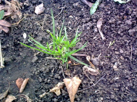 ����� ����: Nokia 5800 XpressMusic