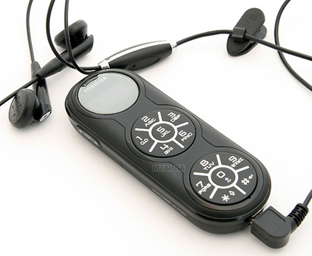  Toshiba G450   ,  텻