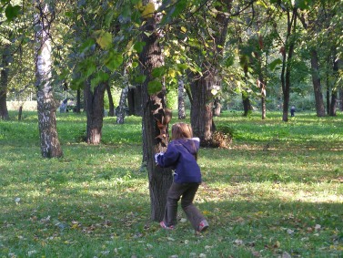 ����� ��������� ������������ Samsung NV7