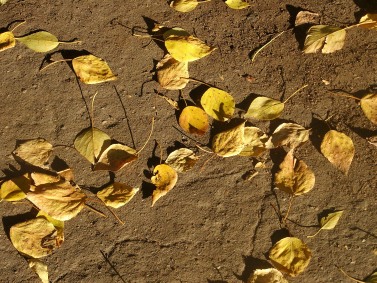 ����� ��������� ������������ Samsung NV7