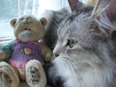 ����� ��������� ������������ Samsung NV7