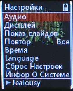 ����� ��������� iPod: ����-����� Samsung YP-Z5