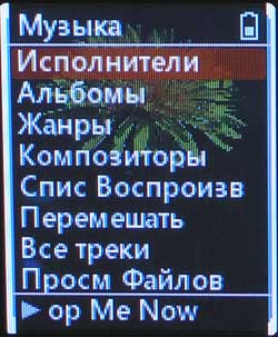 ����� ��������� iPod: ����-����� Samsung YP-Z5