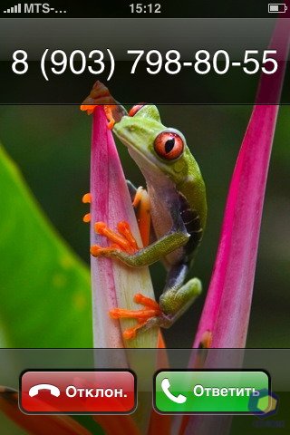 ��������� iPhone 3G