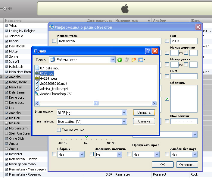 ��������� iPhone 3G