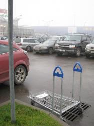 Canon PowerShot SX100, �������� � �������