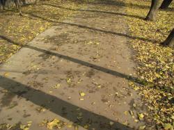 Canon PowerShot SX100, �������� � �������