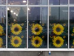 Canon PowerShot SX100, �������� � �������