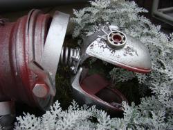 ����� Sony DSC-H7