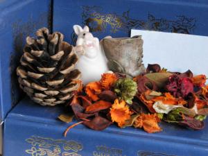 ��������� Canon S5 IS � Panasonic FZ8