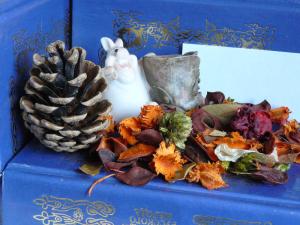 ��������� Canon S5 IS � Panasonic FZ8