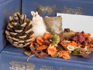 ��������� Canon S5 IS � Panasonic FZ8