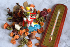 �������� ��� ��������: Nikon D40X