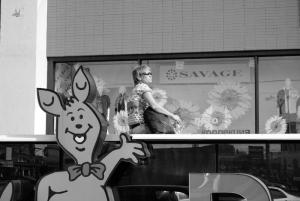 �������� ��� ��������: Nikon D40X