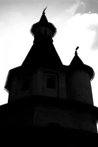 �������� ��� ��������: Nikon D40X