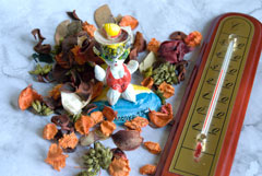 �������� ��� ��������: Nikon D40X