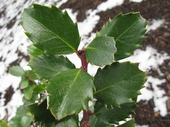 &Acy;&kcy;&tcy;&icy;&vcy;&ncy;&ocy;&iecy; &icy;&zcy;&ocy;&bcy;&rcy;&acy;&zhcy;&iecy;&ncy;&icy;&iecy;