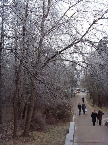 ����� Samsung NV4 LaFleur