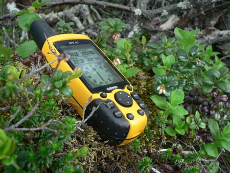 GPS- Garmin GPS 60
