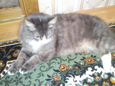 LG KC 910 Renoir: ������� �������������