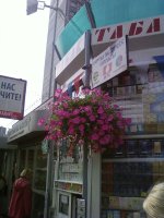 D780 � ������ ����������� Samsung