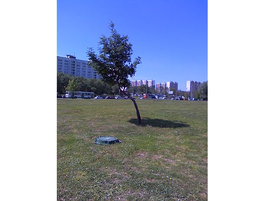 Motorola SLVR L9 � ������������������� ������