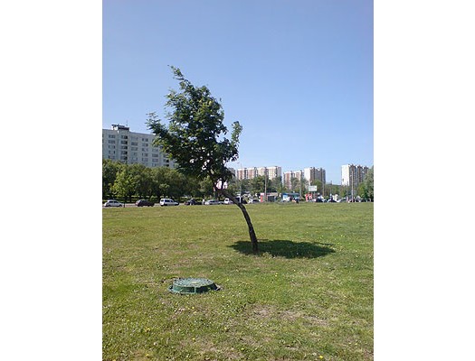 Motorola SLVR L9 � ������������������� ������