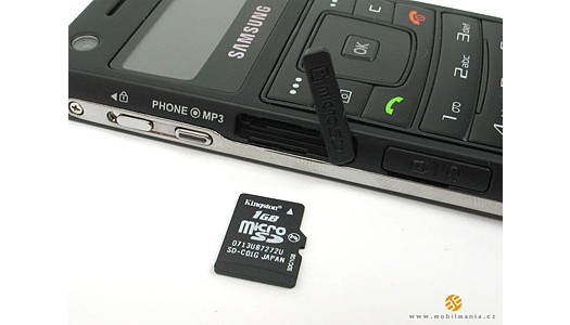 ����� Samsung F300