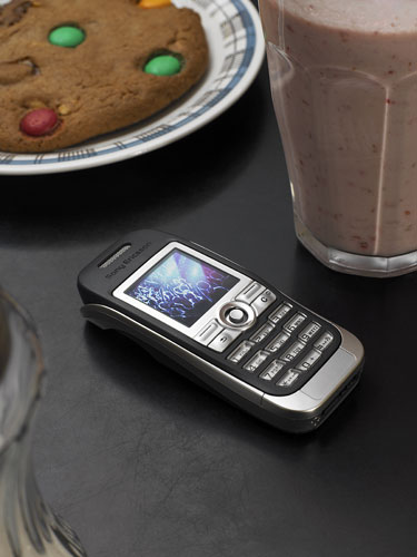    Sony Ericsson J300