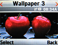 ������� ����� ���������� �������� Samsung U100