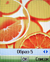 Обзор мобильного телефона Fly MX330