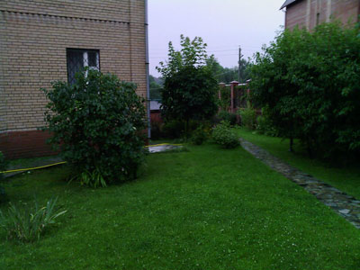 ����� ���������� �������� Samsung E590