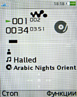 Обзор мобильного телефона Sony Ericsson W580i