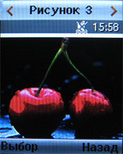 Обзор мобильного телефона Samsung J600E