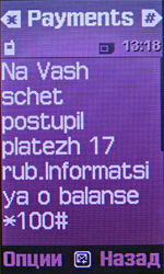 Обзор мобильного телефона Samsung F210