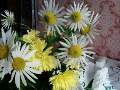 ����� ���������� �������� Samsung F210