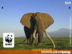 ������ ����� Nokia E75. �������� ��� ������������?