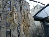  Motorola VE66 - 5    Wi-Fi