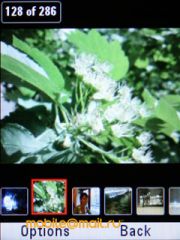  Motorola VE66 - 5    Wi-Fi