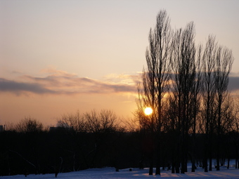 ������ �� ��������� ������