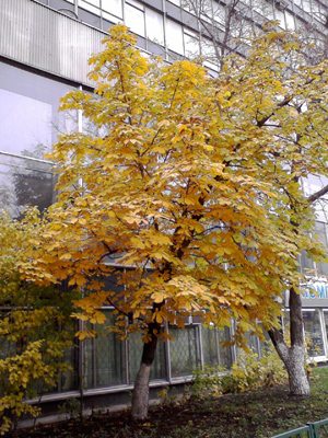   GIGABYTE GSmart i350