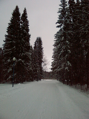    Motorola MOTORIZR Z8