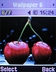 ����� ���������� �������� Samsung F-250 La Fleur