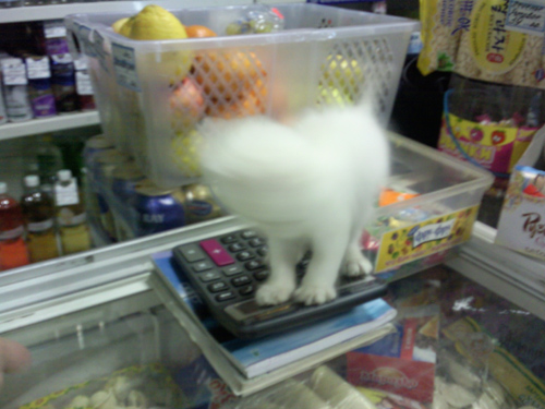 Обзор мобильного телефона Samsung U900 Soul