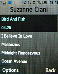 Обзор мобильного телефона Samsung U900 Soul