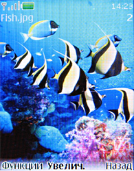 ����� ���������� �������� Nokia 3120 classic