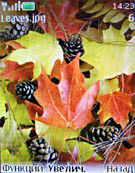 ����� ���������� �������� Nokia 3120 classic