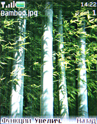 Обзор мобильного телефона Nokia 3120 classic