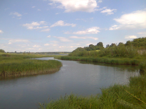 ����� ���������� �������� Nokia 3120 classic